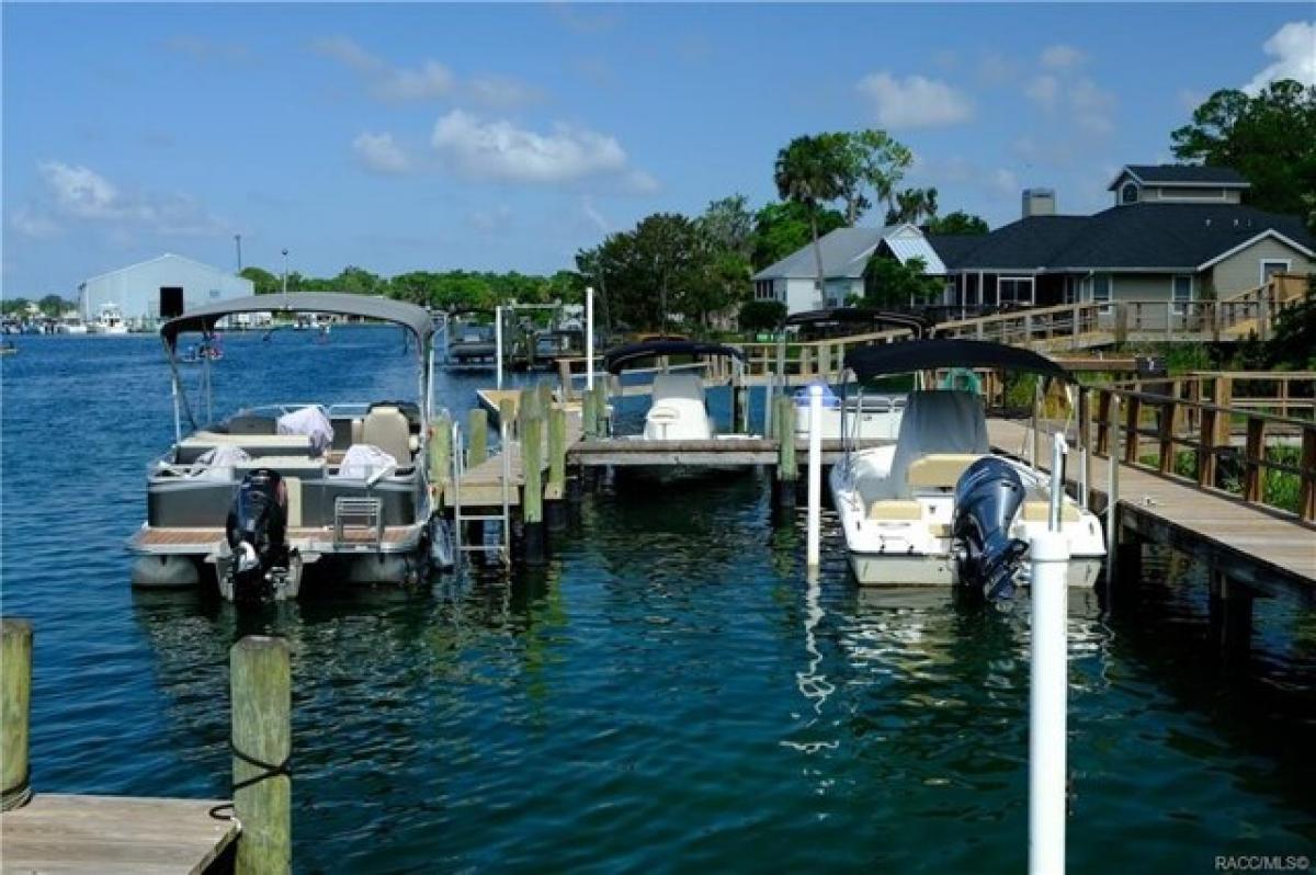 Picture of Residential Land For Sale in Crystal River, Florida, United States