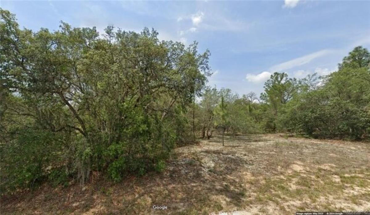 Picture of Residential Land For Sale in Dunnellon, Florida, United States