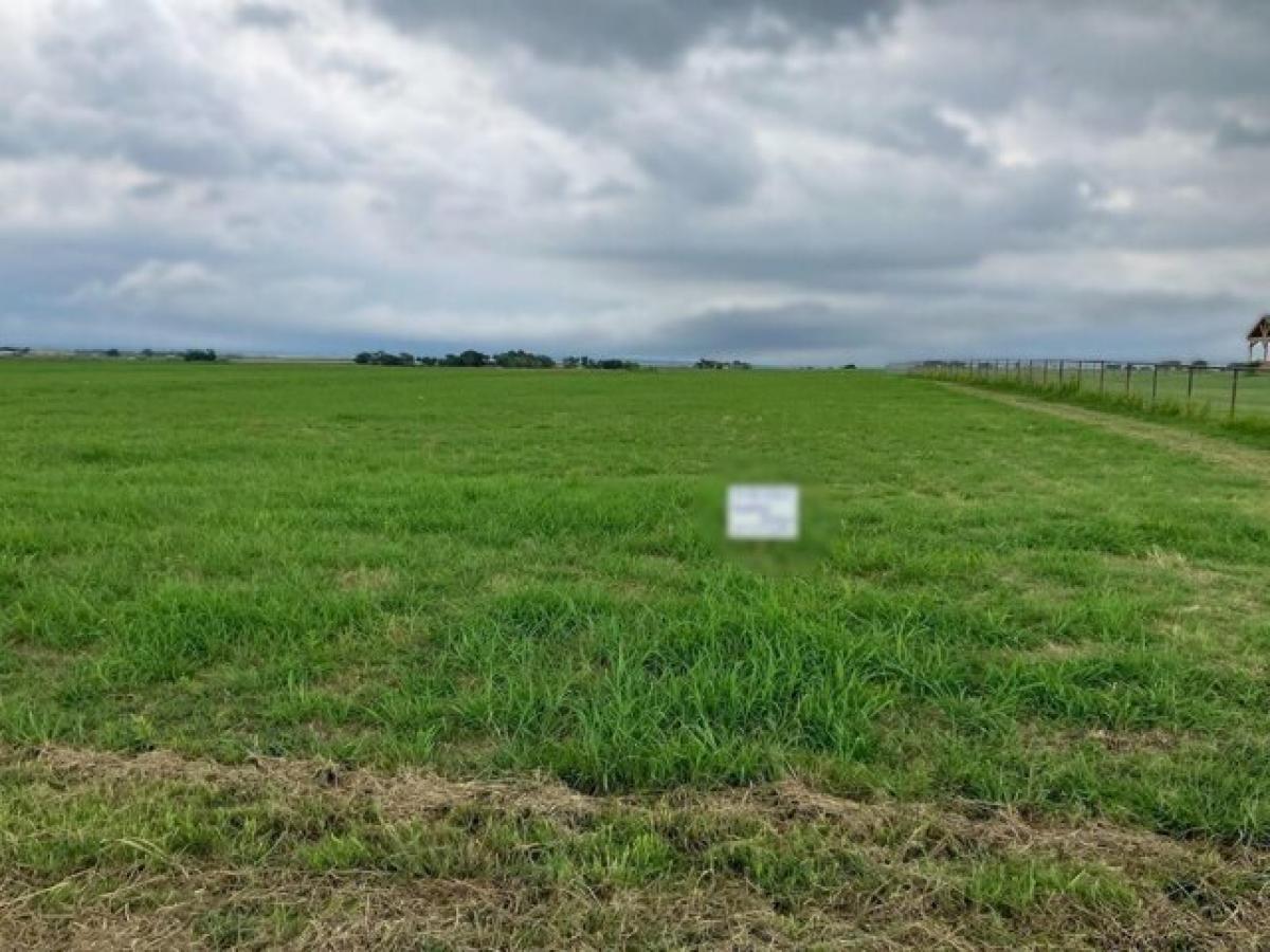 Picture of Residential Land For Sale in Grandview, Texas, United States