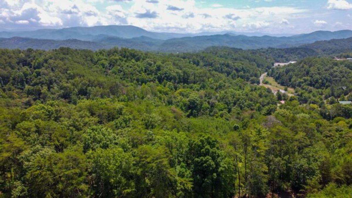 Picture of Residential Land For Sale in Sevierville, Tennessee, United States