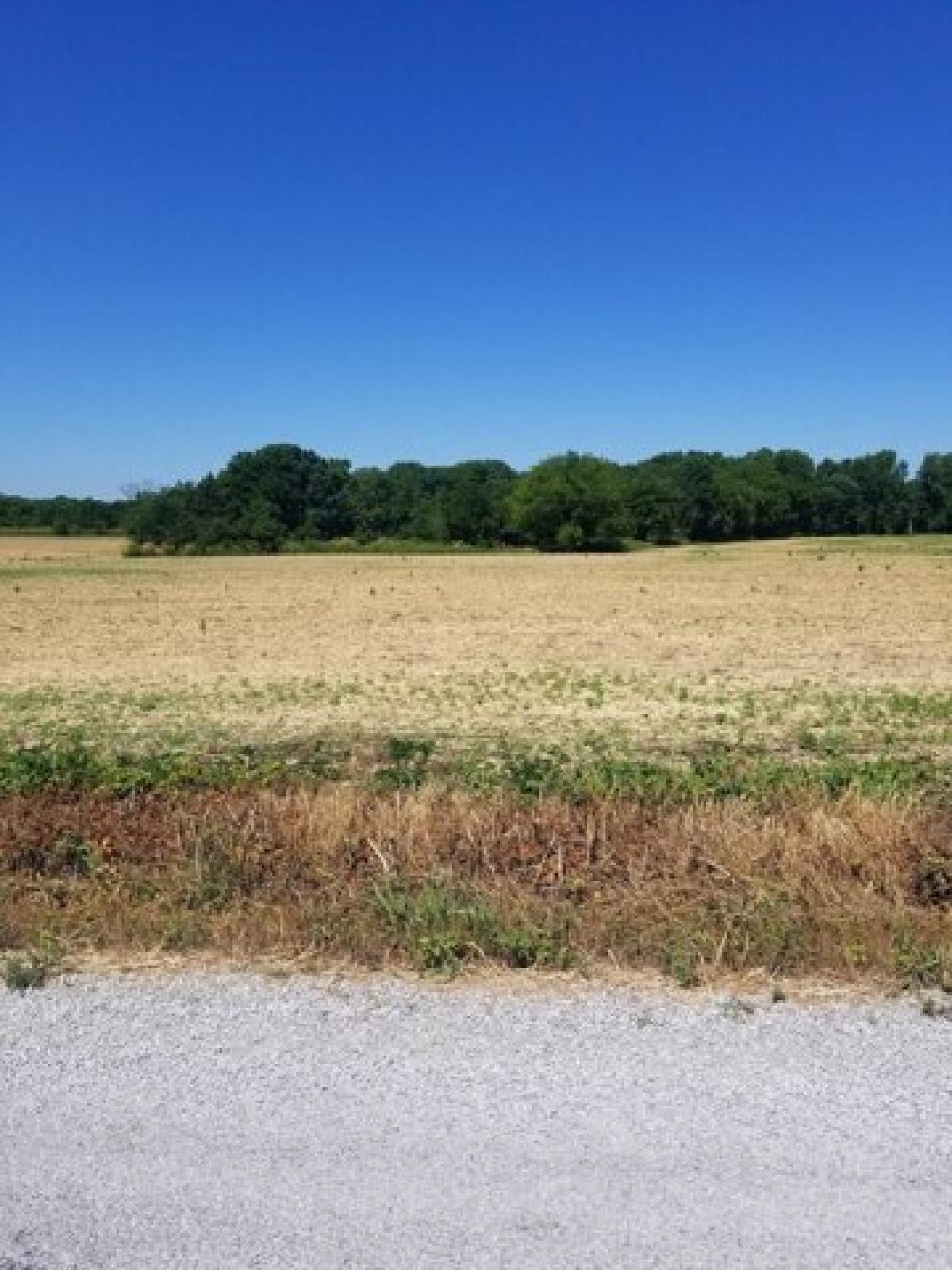 Picture of Residential Land For Sale in Lafayette, Tennessee, United States