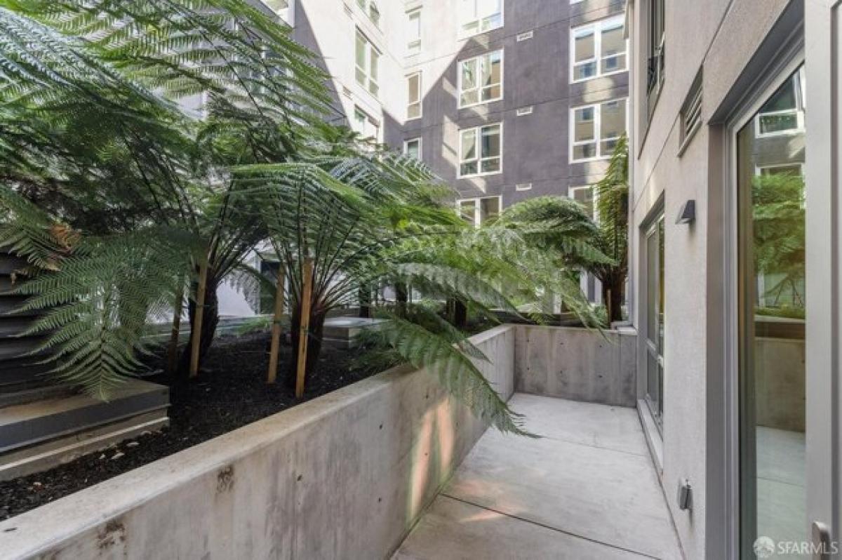 Picture of Home For Rent in San Francisco, California, United States