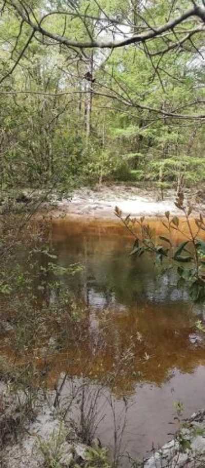 Residential Land For Sale in Defuniak Springs, Florida