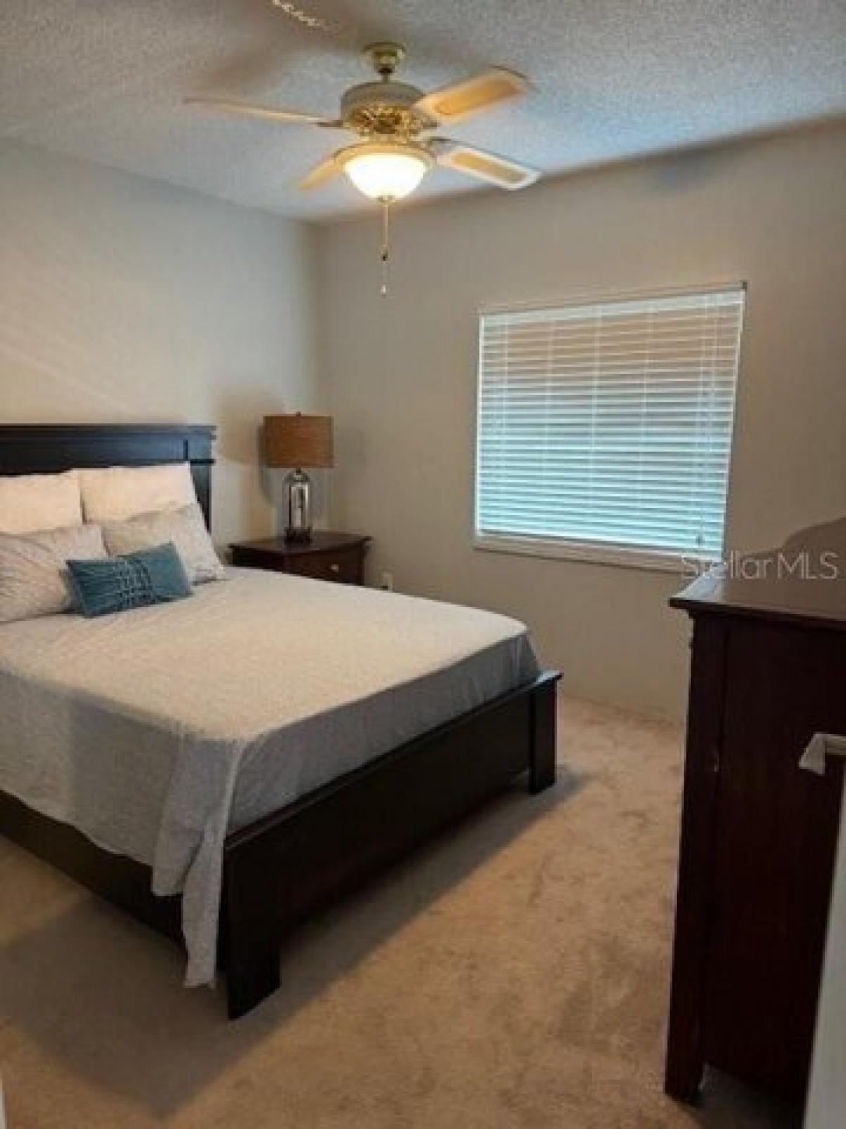Picture of Home For Rent in Saint Petersburg, Florida, United States