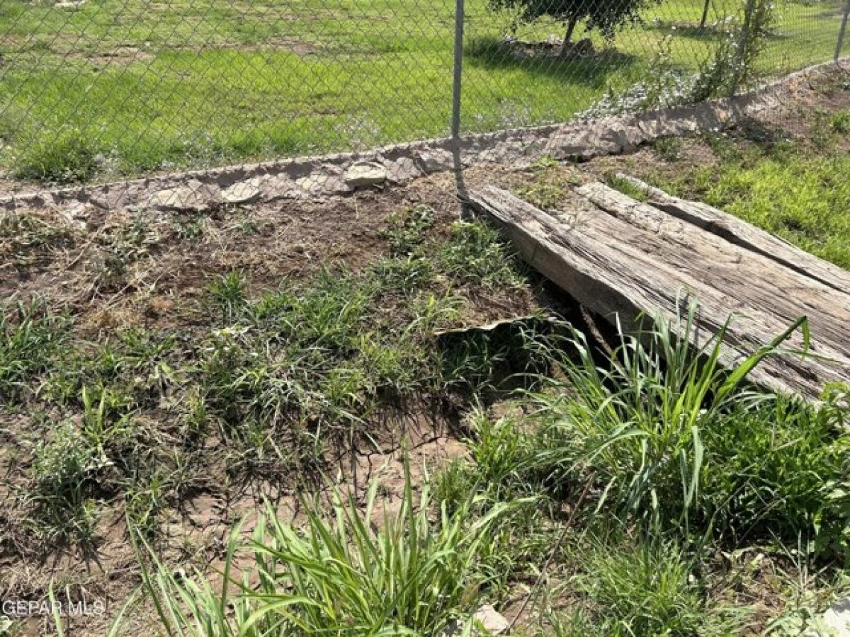 Picture of Residential Land For Sale in El Paso, Texas, United States