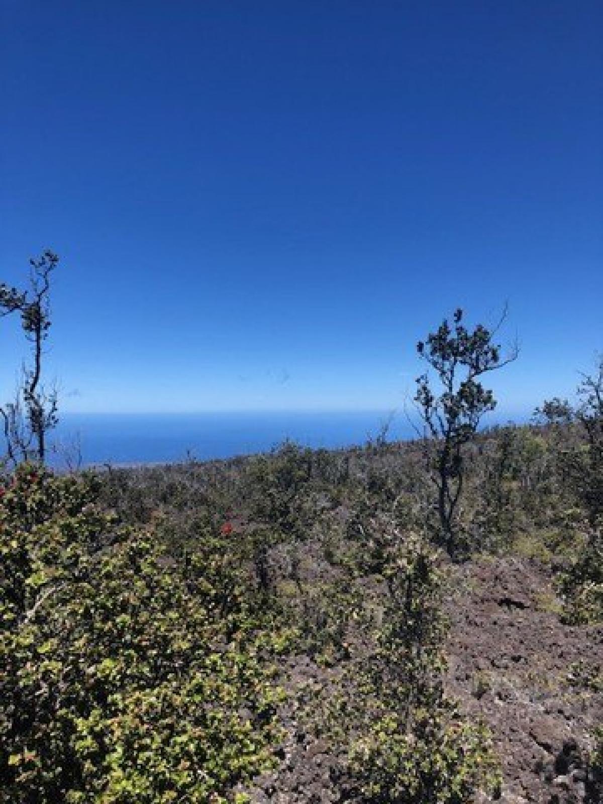 Picture of Residential Land For Sale in Ocean View, Hawaii, United States