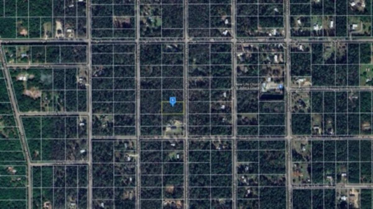 Picture of Residential Land For Sale in Hastings, Florida, United States