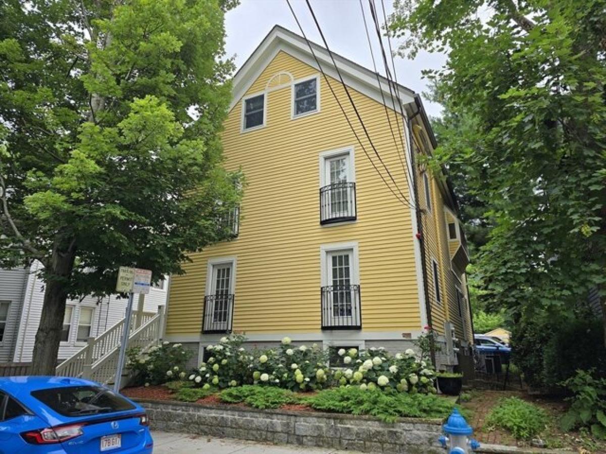 Picture of Apartment For Rent in Cambridge, Massachusetts, United States