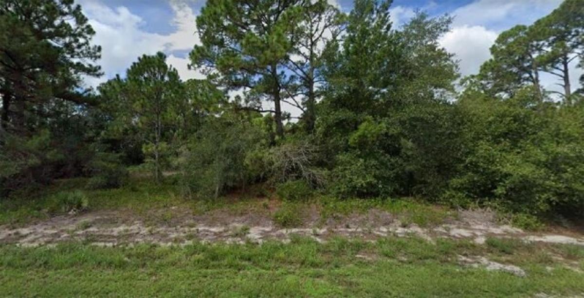 Picture of Residential Land For Sale in Lake Placid, Florida, United States