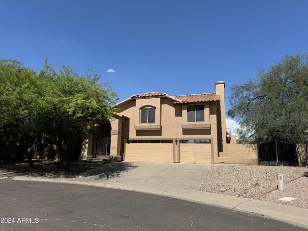 Picture of Home For Rent in Scottsdale, Arizona, United States