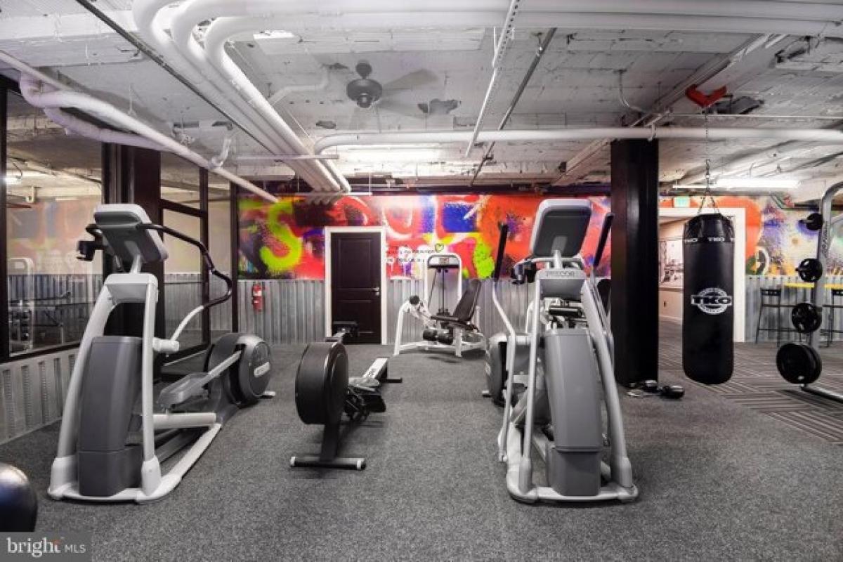 Picture of Apartment For Rent in Baltimore, Maryland, United States