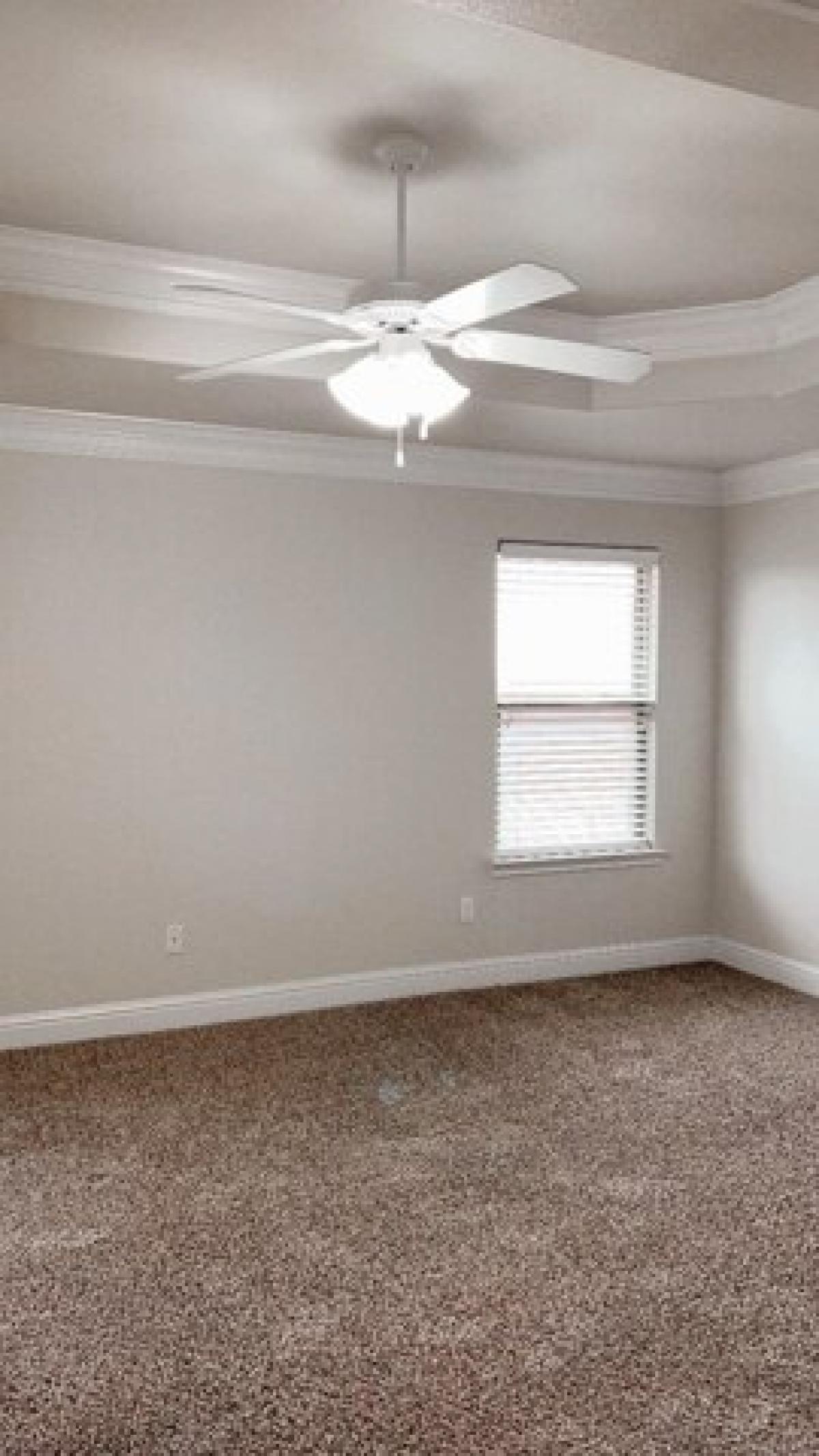 Picture of Home For Rent in Midland, Texas, United States