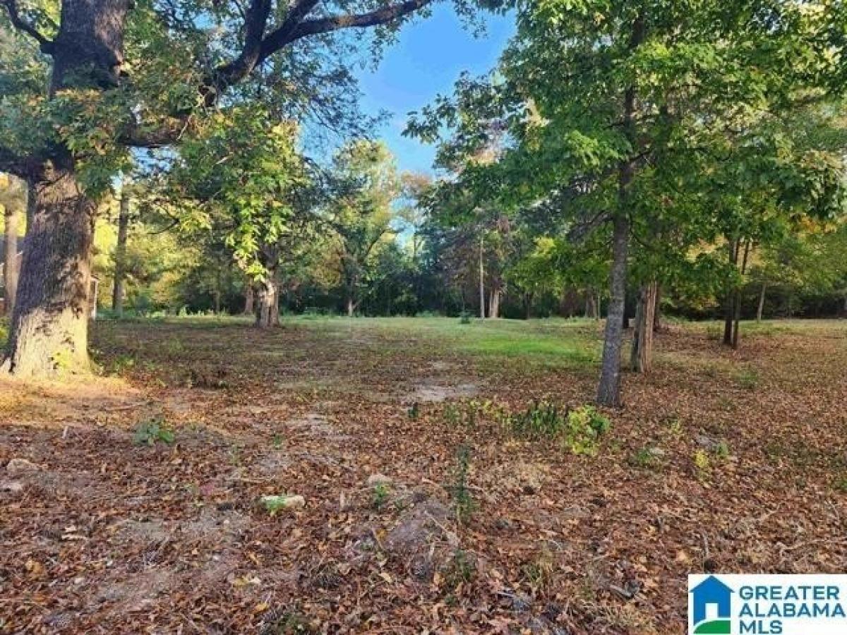 Picture of Residential Land For Sale in Birmingham, Alabama, United States