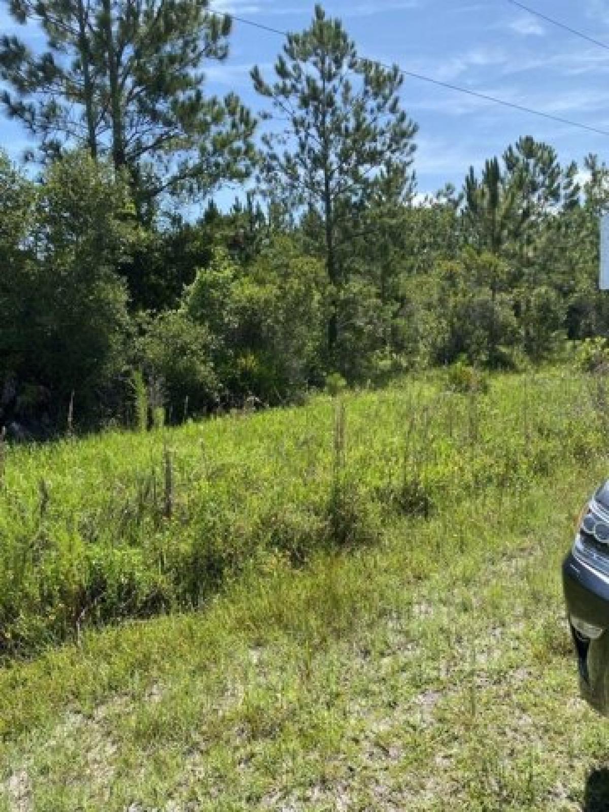 Picture of Residential Land For Sale in Palatka, Florida, United States