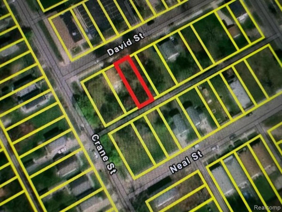 Picture of Residential Land For Sale in Detroit, Michigan, United States