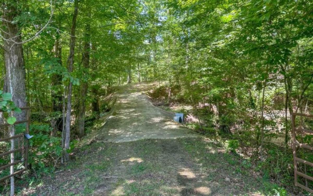 Picture of Residential Land For Sale in Jessieville, Arkansas, United States