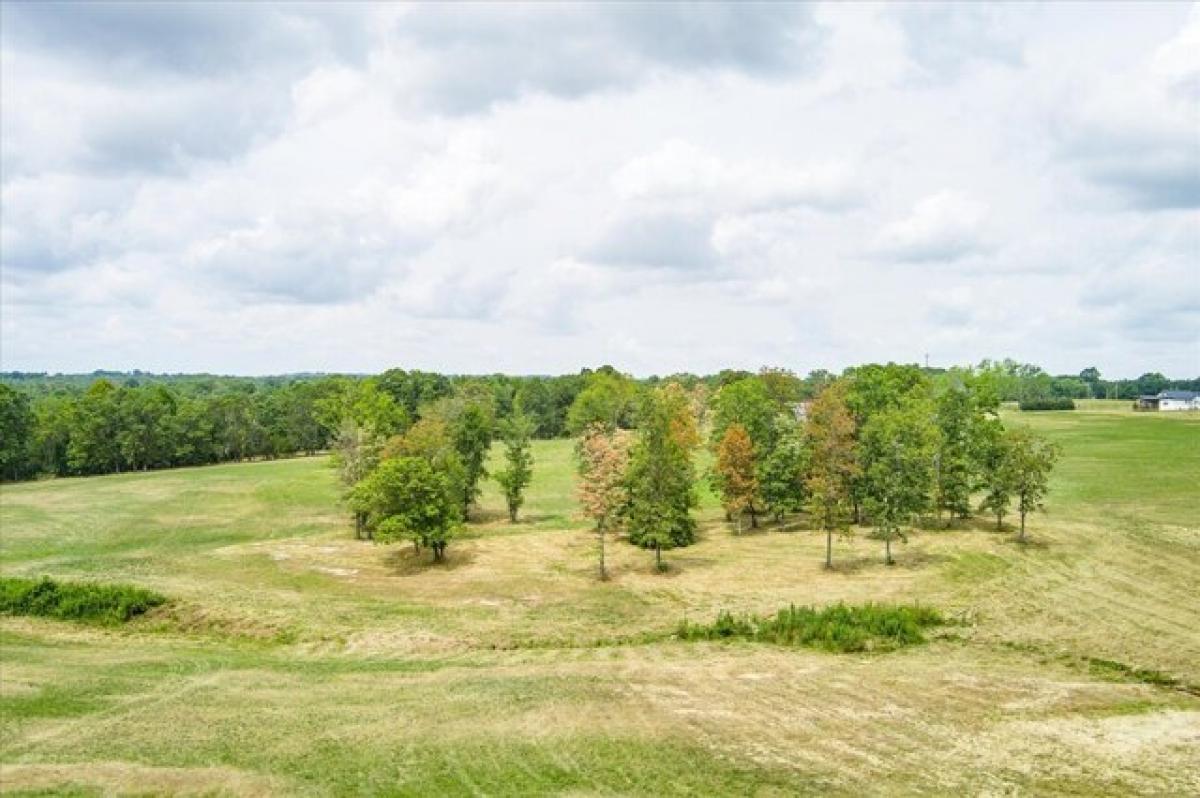 Picture of Residential Land For Sale in Crossville, Tennessee, United States