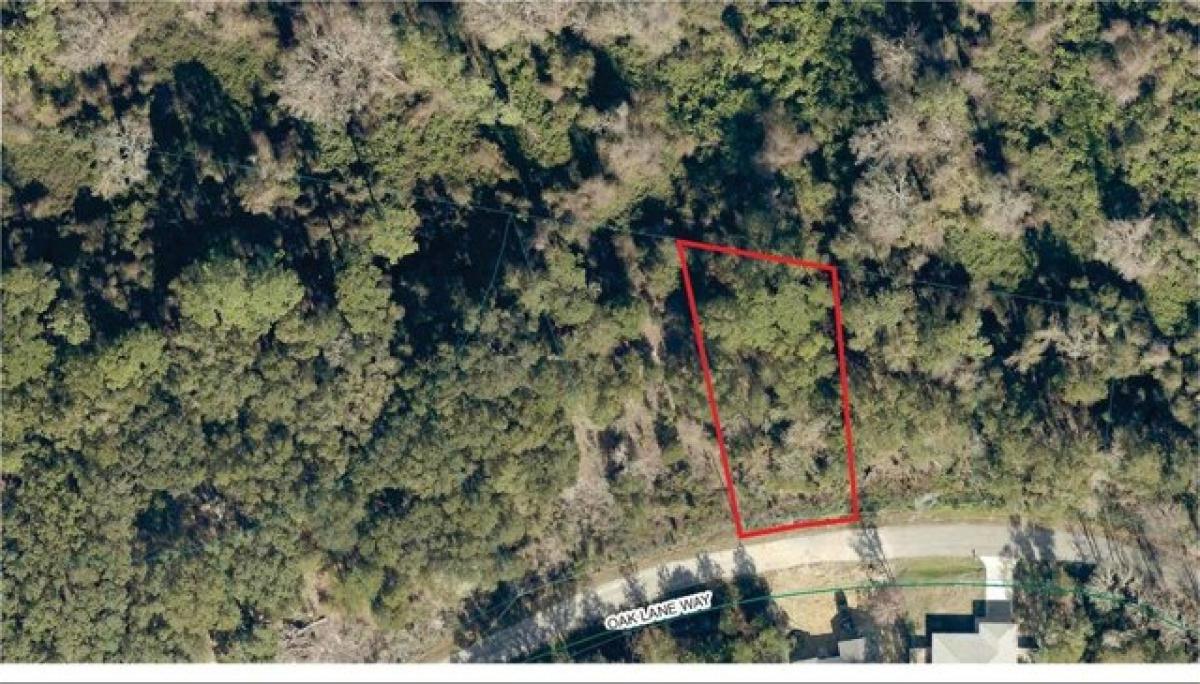 Picture of Residential Land For Sale in Ocala, Florida, United States