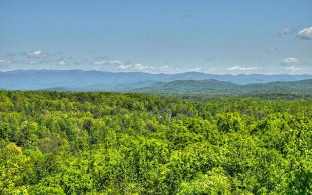 Picture of Residential Land For Sale in Blairsville, Georgia, United States