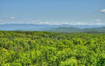 Residential Land For Sale in Blairsville, Georgia