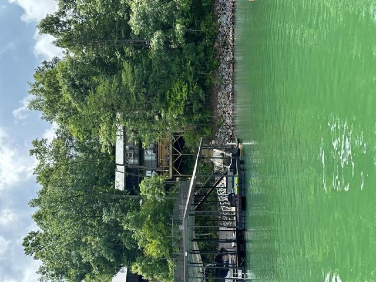 Picture of Home For Sale in Morganton, Georgia, United States