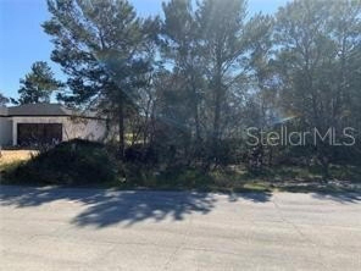Picture of Residential Land For Sale in Kissimmee, Florida, United States