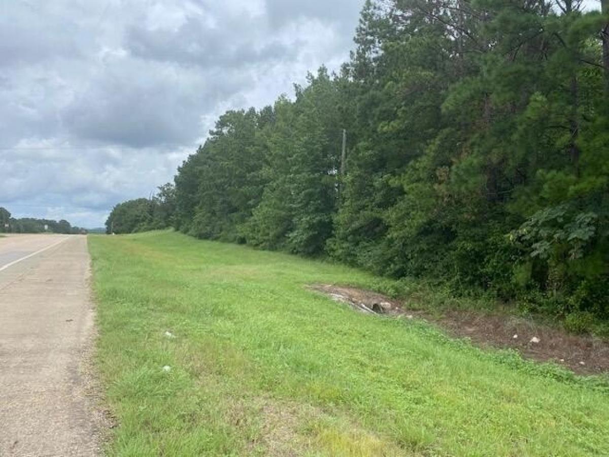 Picture of Residential Land For Sale in Hornbeck, Louisiana, United States