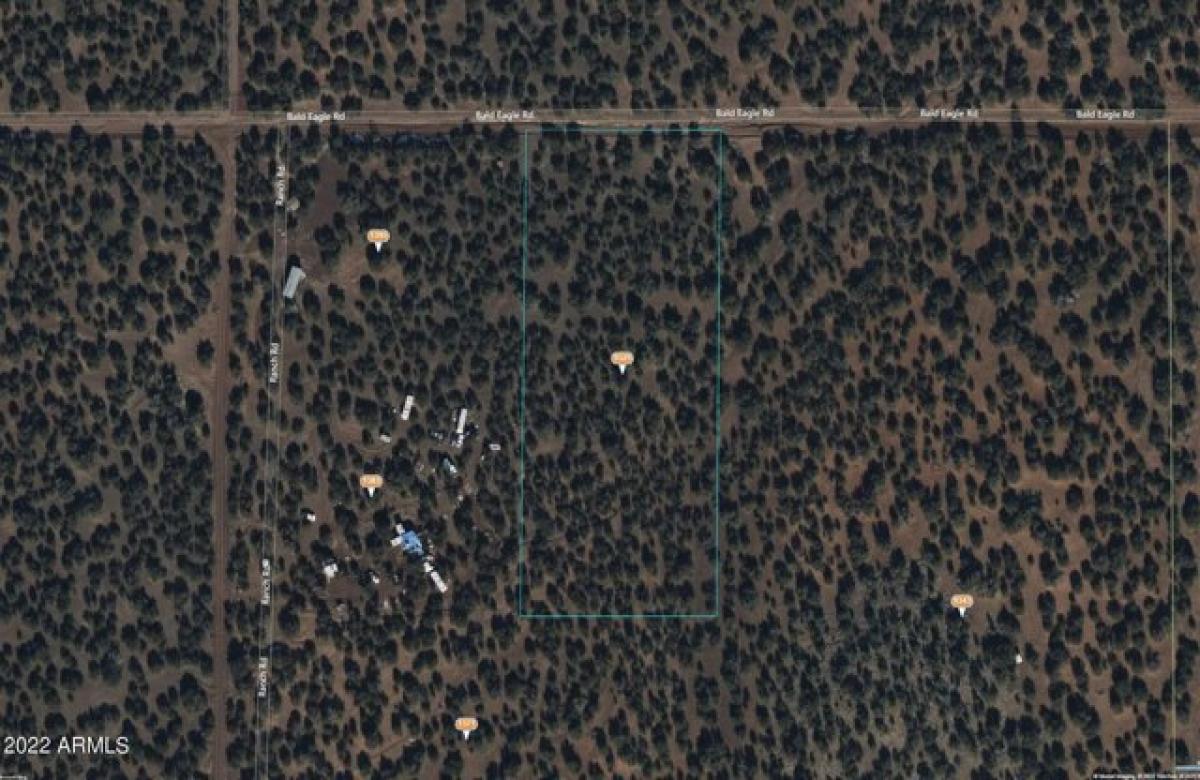 Picture of Residential Land For Sale in Show Low, Arizona, United States