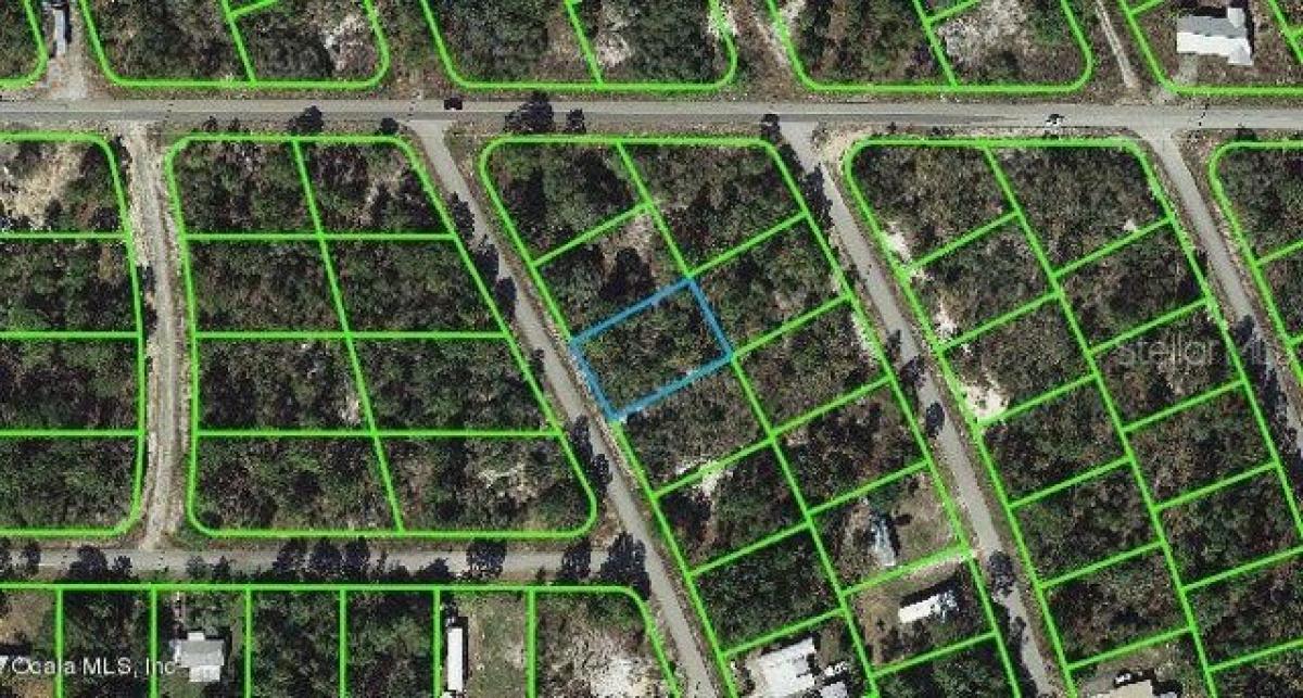 Picture of Residential Land For Sale in Lake Placid, Florida, United States