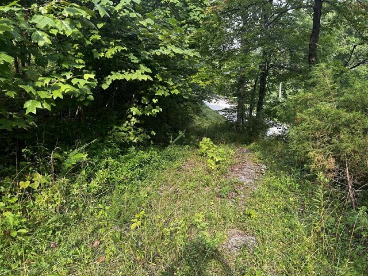 Picture of Residential Land For Sale in Somerset, Kentucky, United States