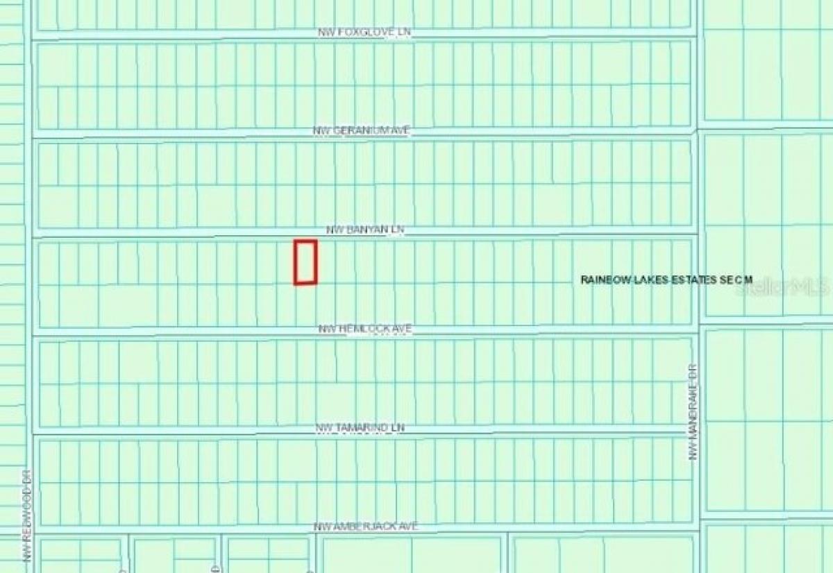 Picture of Residential Land For Sale in Dunnellon, Florida, United States