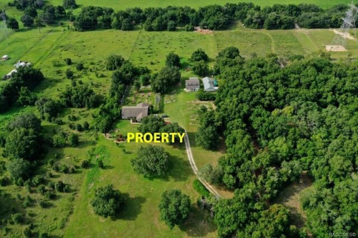 Picture of Home For Sale in Hernando, Florida, United States