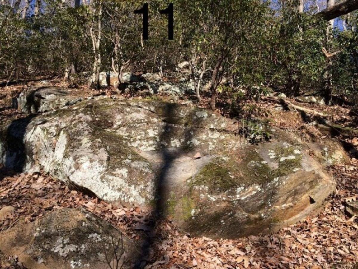 Picture of Residential Land For Sale in Franklin, North Carolina, United States