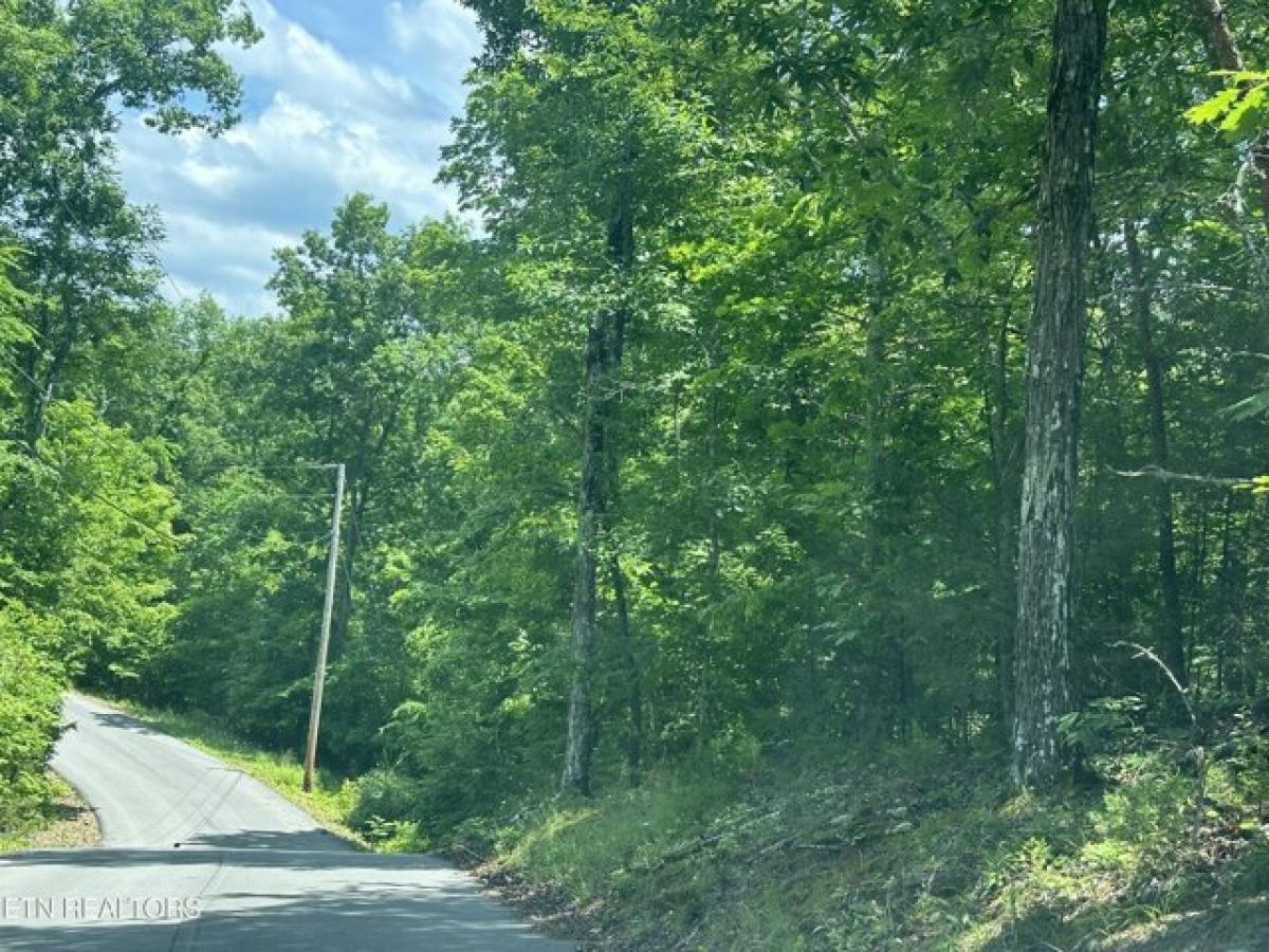 Picture of Residential Land For Sale in Sevierville, Tennessee, United States