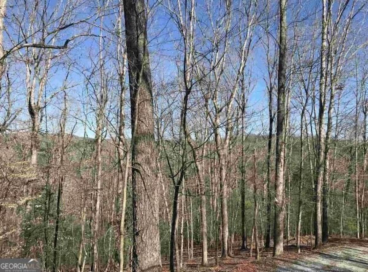 Picture of Residential Land For Rent in Ellijay, Georgia, United States