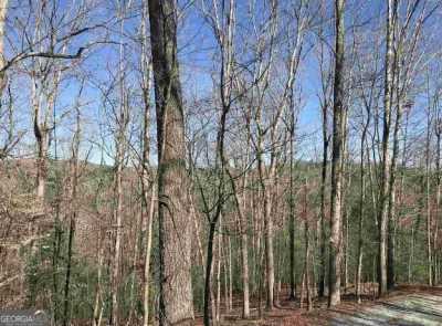 Residential Land For Rent in Ellijay, Georgia