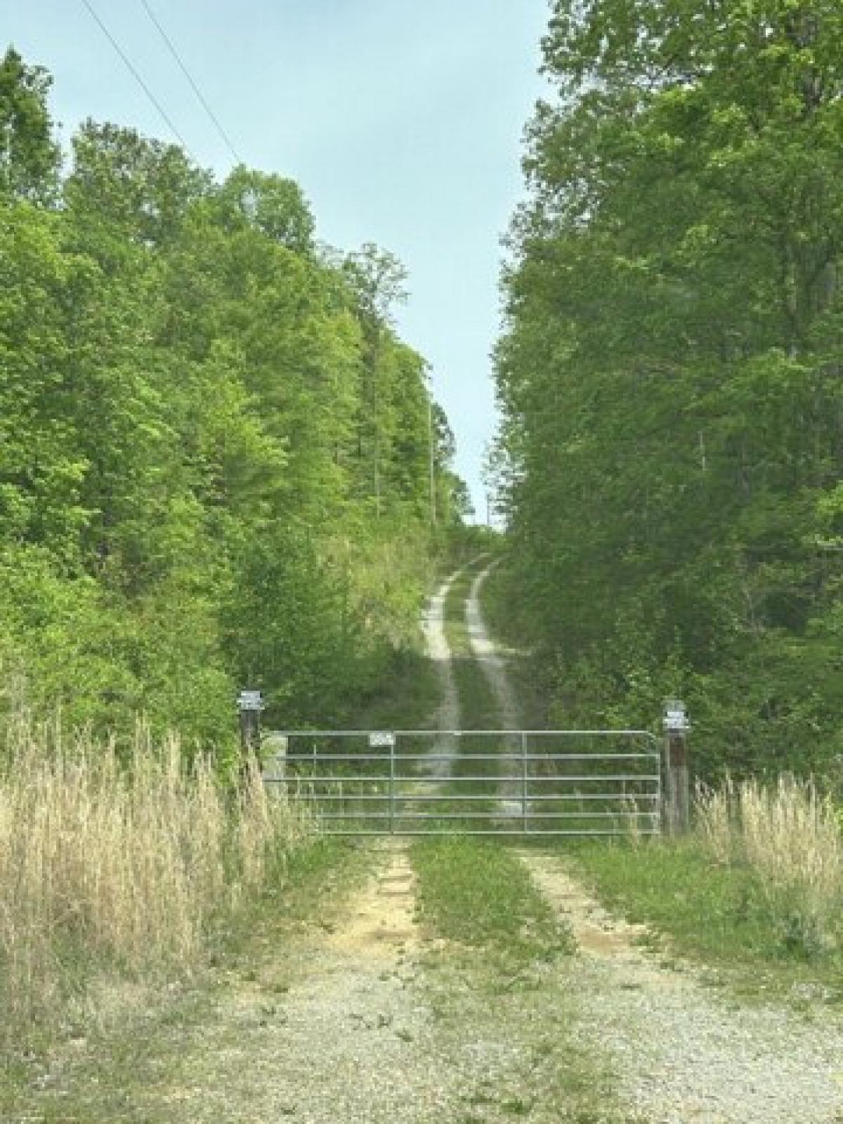 Picture of Residential Land For Sale in Dickson, Tennessee, United States