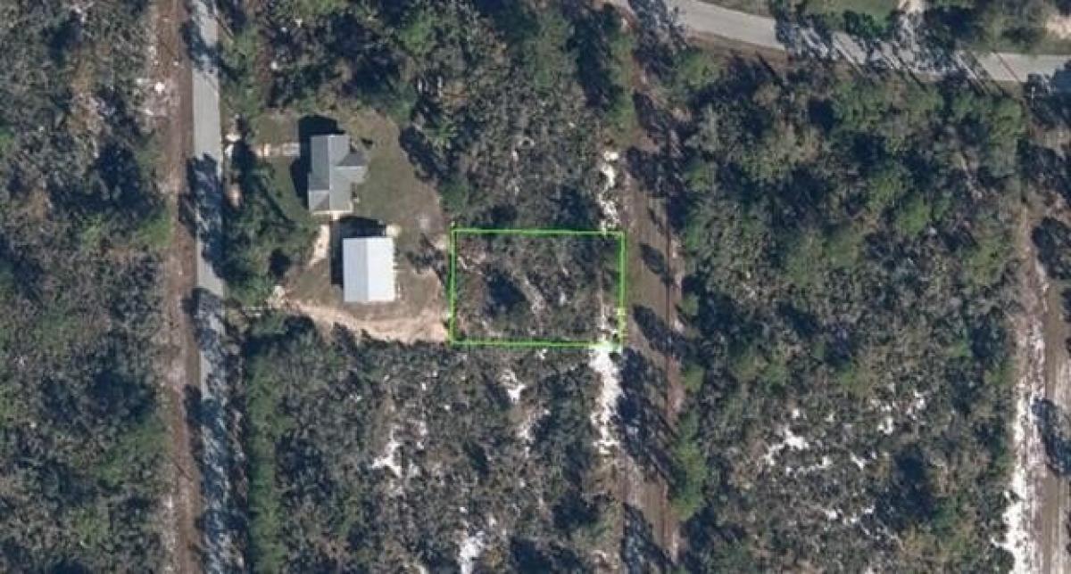 Picture of Residential Land For Sale in Lake Placid, Florida, United States