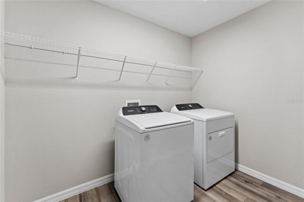 Picture of Home For Rent in Wesley Chapel, Florida, United States