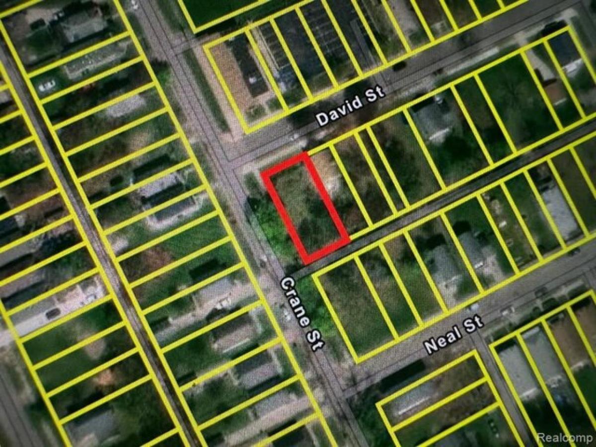 Picture of Residential Land For Sale in Detroit, Michigan, United States