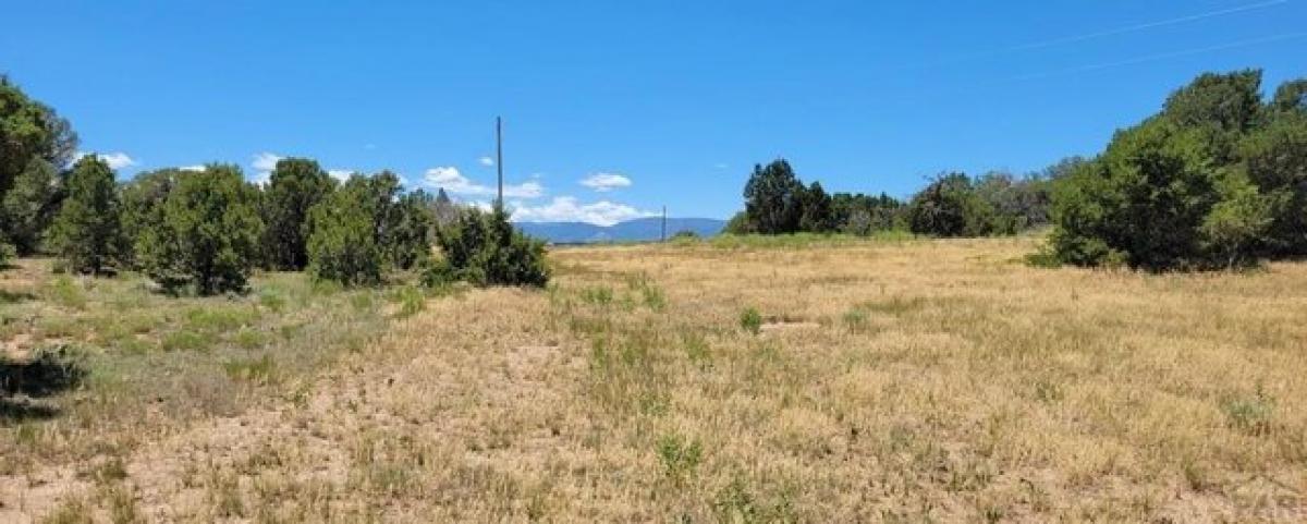 Picture of Residential Land For Sale in Walsenburg, Colorado, United States