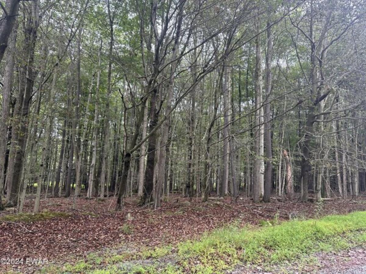 Picture of Residential Land For Rent in Greentown, Pennsylvania, United States