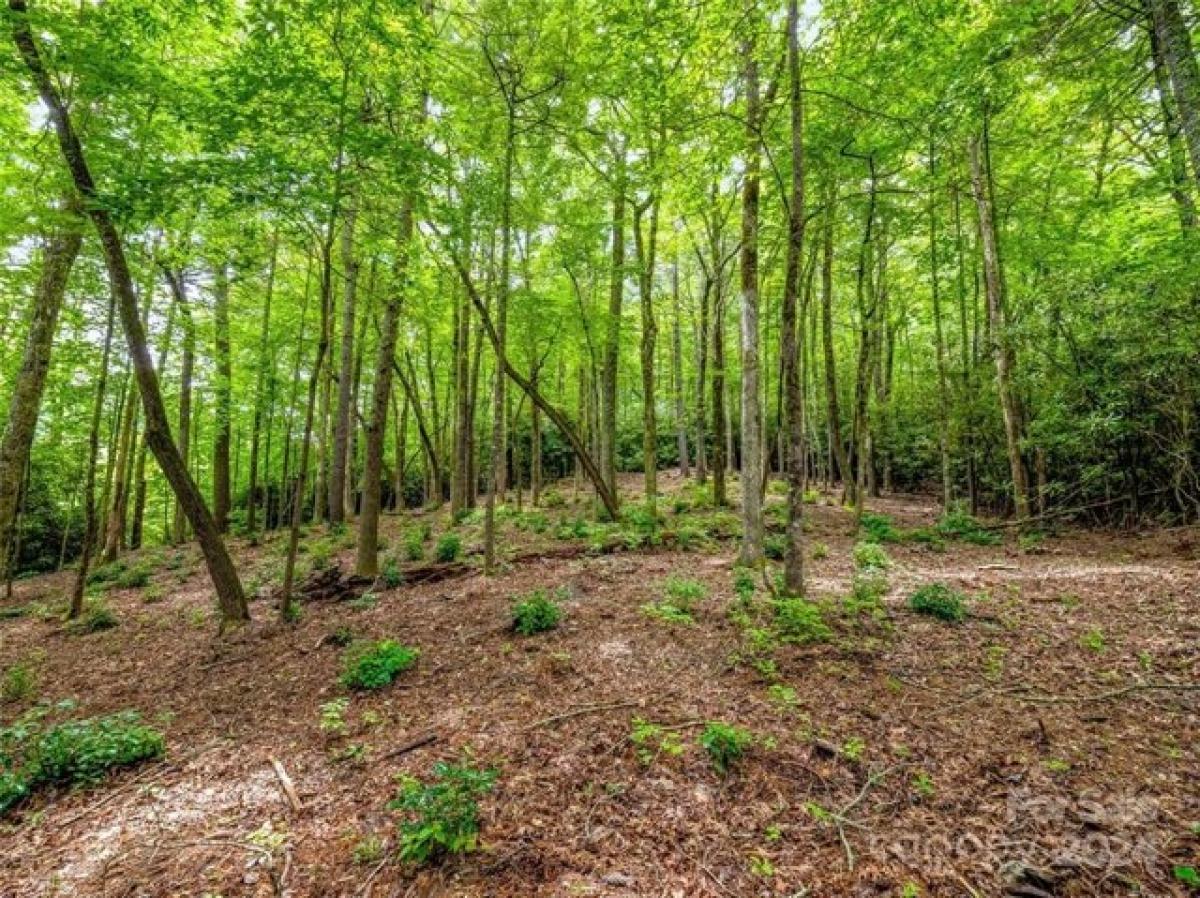 Picture of Residential Land For Sale in Lake Toxaway, North Carolina, United States