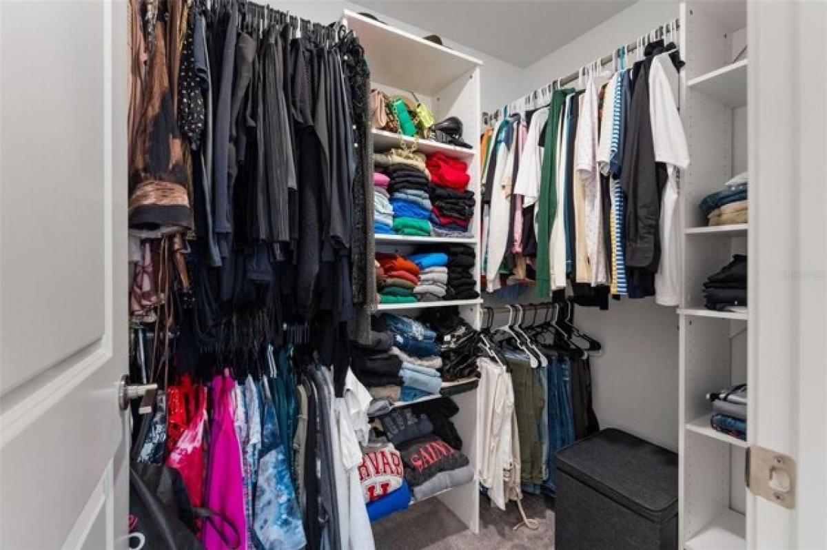 Picture of Home For Sale in Land O Lakes, Florida, United States