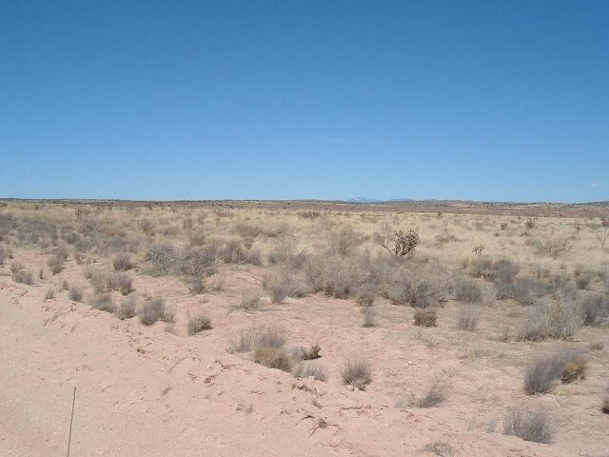 Picture of Residential Land For Rent in Rio Rancho, New Mexico, United States