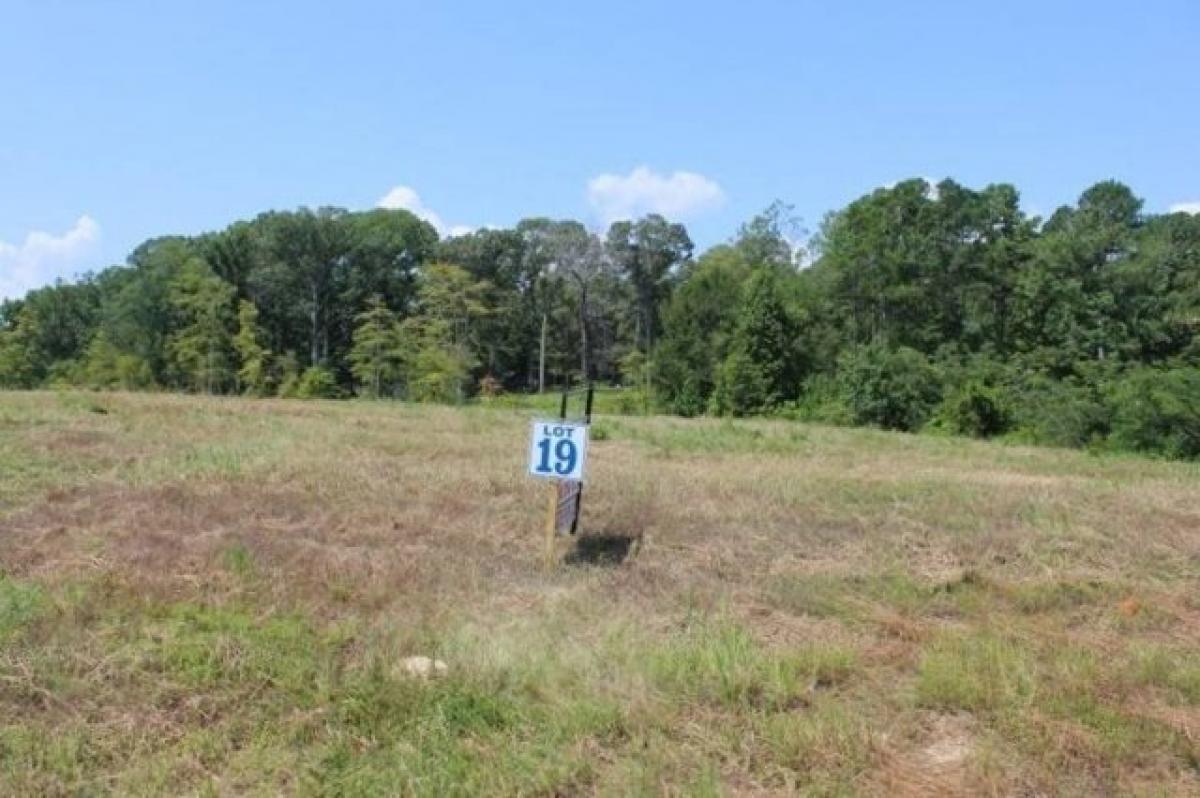 Picture of Residential Land For Sale in Zwolle, Louisiana, United States