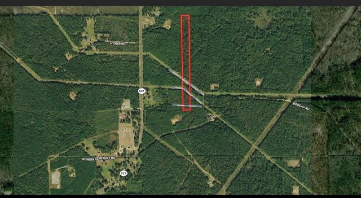 Picture of Residential Land For Sale in Sarepta, Louisiana, United States