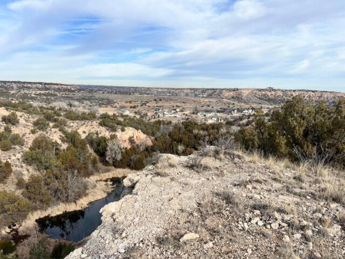 Picture of Residential Land For Sale in Amarillo, Texas, United States