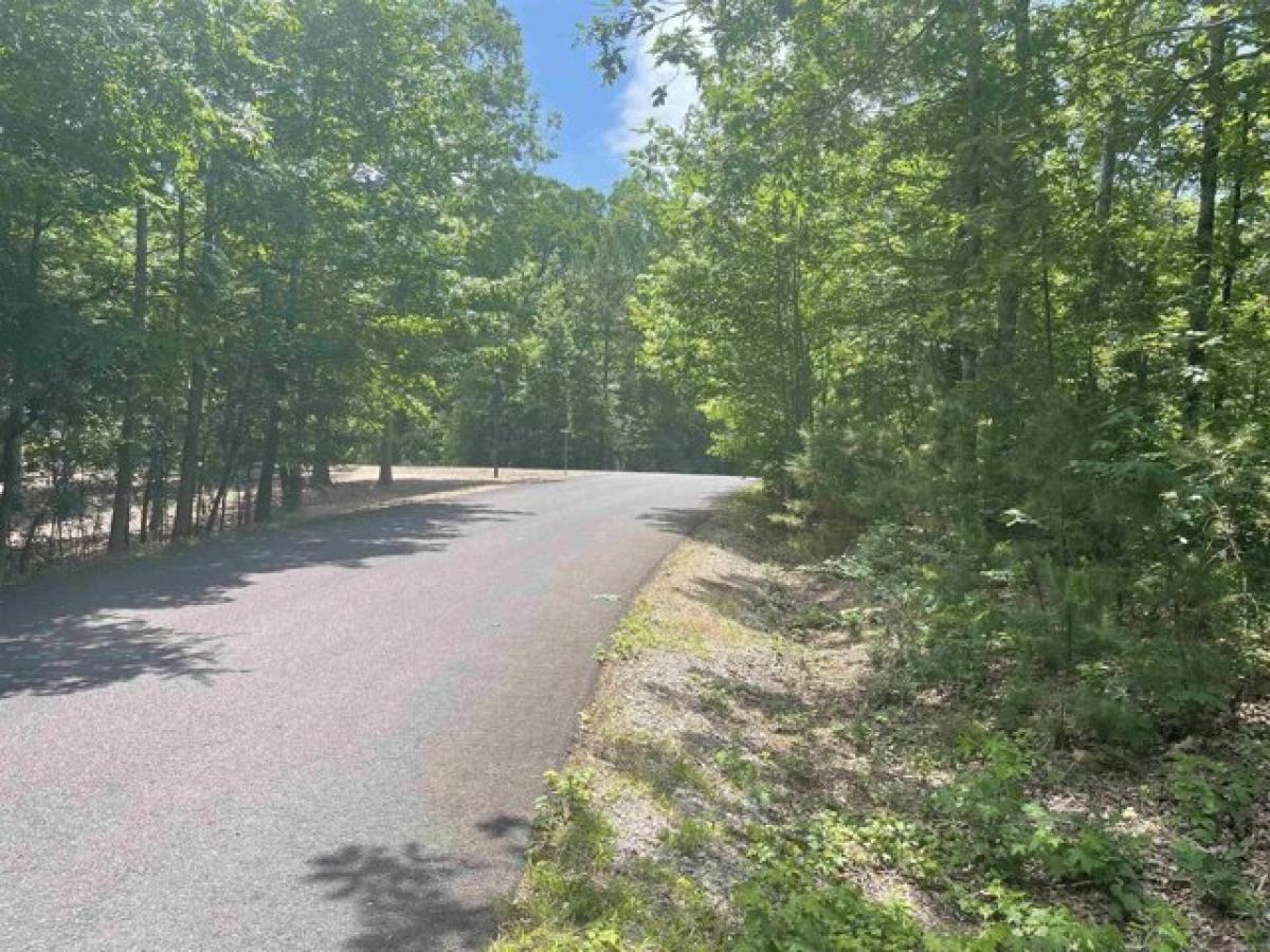 Picture of Residential Land For Rent in Hot Springs Village, Arkansas, United States