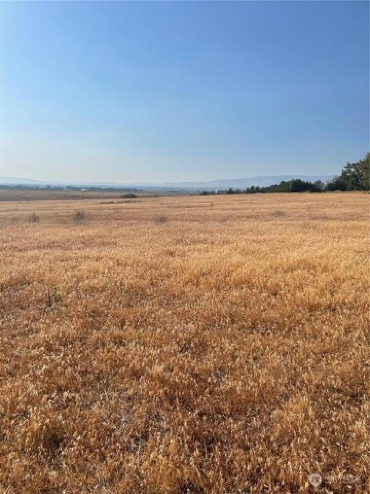 Picture of Residential Land For Sale in Ellensburg, Washington, United States